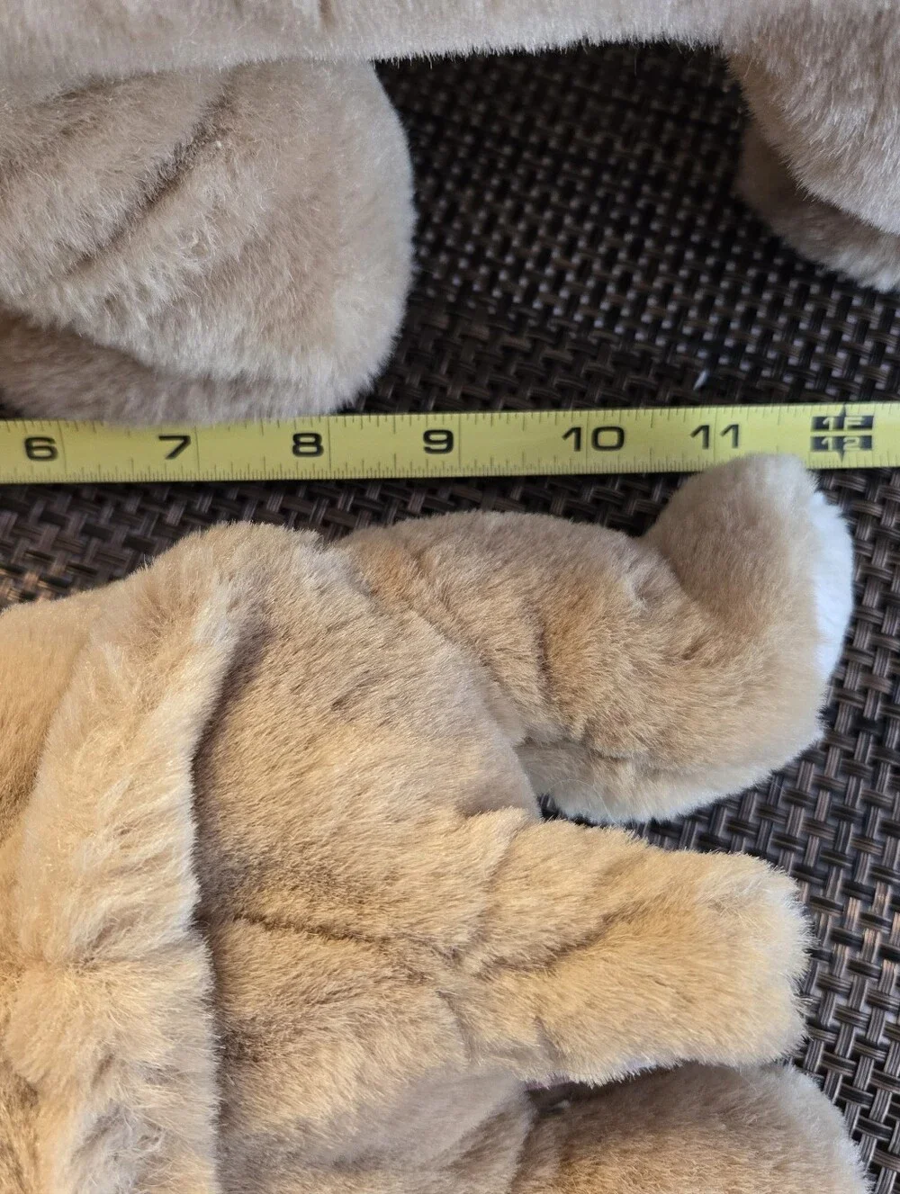 Ty Winston and Wrinkles Pair